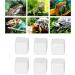 Calcium for Snails Aquarium Calcium Stone Can Be Dissolved in Water for Drinking for Daily for Turtles for Reptiles for Terrestrial Animals - Buy Online on GoSupps.com