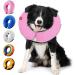 Ducomi Inflatable Pet Hinges for Dogs & Cats - Comfort & Mobility - Prevent Scratches - Pink M - Buy Online on GoSupps.com