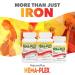 NaturesPlus Hema-Plex Iron 85mg Slow-Release Tablets with Vitamin C & Bioflavonoids - Vegan & Gluten Free - 30 Servings - Buy Online on GoSupps.com
