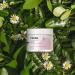 THENA CALM Face Moisturizer - Organic & Natural Ultra Hydrating Cream with Hyaluronic Acid & Lavender | Anti-Aging Facial Moisturizer for Dry Skin | Plant-Based Skincare for Men & Women - Buy Online on GoSupps.com
