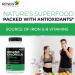 Renew Actives Chlorella Capsules 1000MG per 2 Capsules - Rich in Antioxidants & Nutrients - Natural Source for Cellular Health, Vitality, & Wellness - Made in Canada - 120 Capsules - Buy Online on GoSupps.com