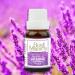 Soul Mantra Lavender Oil - Aromatherapy Essential Oil for Diffusers & Relaxation | 5ml 30ml Options - Buy Online on GoSupps.com
