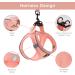 Shop Bella & Pal Dog Harness for Small Dogs - Reflective & Breathable with Leash - Perfect for Cats & Puppies - Coral Pink (L: 42-50cm) - Buy Online on GoSupps.com
