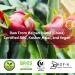 Dragon Fruit Powder 5.3 oz (150g) - Pure Freeze Dried Pitaya Powder - Pack of 1 - Buy Online on GoSupps.com