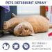 Routinfly Cat Spray - Bitter Training Aid for Scratch-Resistant Furniture Protection | 50 ml | Halloween Ornaments - International Shipping Available - Buy Online on GoSupps.com