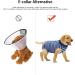 Ouuonno Healing Suits for Dogs - Surgical Relaxation for Abdominal Wounds | Cone Alternative (XXXL Stripes Blue) - Buy Online on GoSupps.com