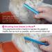 Pet Grooming Comb for Dogs and Cats - Metal Detangling Tool with Stainless Steel Pins - Shedding and Matted Hair Remover - Oval Handle - Blue (M) - Buy Online on GoSupps.com