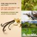 Premium Tahitian Vanilla Pods - 5 Whole Pieces (10.5g) for Baking & Cooking | JUST VANILLA - Buy Online on GoSupps.com