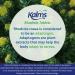 Kalms Rhodiola 20 Tablets - Temporary Fatigue & Stress Relief - Buy Online on GoSupps.com