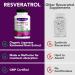 Resveratrol 480MG with Quercetin | 90 Capsules - Antioxidant Supplement for Healthy Aging & Immune Support - Buy Online on GoSupps.com