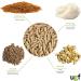 UGF Premium Suet Pellets with Mealworms - All-Year Round Wild Bird Food for Optimal Nutrition - Buy Online on GoSupps.com