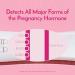 First Response Early Result - Pregnancy Test Kit - Detect Pregnancy 6 Days Sooner Than Your Missed Period - Over 99% Accurate - Analog (2 Count) Line Test 2 count (Pack of 1) - Buy Online on GoSupps.com