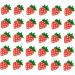 FRCOLOR 90 Pieces Nail Art Accessories Fruit Nail Art Discs Nail Strawberry Charms Nail Art Fruit Pendant Nail Jewellery Fruit Slices for Nails Manicure Pendant Resin 3D Nail Flakes Acrylic - Buy Online on GoSupps.com