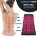 4-Level Back Stretcher Cracker for Lower Back Pain Relief - Spine Board Deck - Buy Online on GoSupps.com