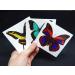 Large Butterfly Temporary Tattoos - Butterfly Utopia (6 Sheets) - Buy Online on GoSupps.com