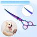 Colorful 7-Inch Dog Grooming Scissors Set - Professional Stainless Steel Shears for Pet Trimming and Hair Cutting - Buy Online on GoSupps.com