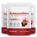Xaarty 3Pack Premium Astaxanthin 12mg Natural Antioxidant Supplement for Eye Joint Skin Health Microalgae Source 4 Month Supply | Supports Internal Circulation 360 Softgels