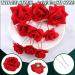 Red Rose Hair Clips Set - Elegant Flower Hair Accessories for Women and Girls - Perfect for Wedding, Dance, Birthday - Pack of 12 - Buy Online on GoSupps.com