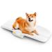 Digital Baby Scale for Infant and Pets  66lbs (0.1oz)  Digital Weighing Scale for Newborn Baby and Infant  Hold Function  Suitable for Pets and Infants - Buy Online on GoSupps.com