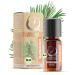 Organic mountain pine oil essential oil (Pinus Mugo) Wild growth mountain pine organic from Austria (slippage jaw 10ml) slippage pine 10 ml (1 Pack)