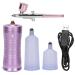 Professional Oxygen Facial Machine - Water Oxygen Sprayer - Portable Handheld Face Skin Moisturizing Nano Spray Airbrush for Skin Rejuvenation(Small straight Fuchsia)