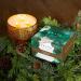 Trapp Seasonal Candle White Fir - 16oz Luxury 3-Wick Candle | Fresh Scent - 70 Hours Burn Time | Shop Internationally - Buy Online on GoSupps.com