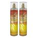 Bath and Body Work In The Sun 2 Pack Fine Fragrance Mist Bundle - Full Size