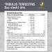Buy Vitaciv Tribulus Terrestris 1500 mg | 240 Caps - High-Dose Bulgarian Extract with L-Arginine Ginseng Maca Zinc & B6 for Strength Athletes - International Shipping Available - Buy Online on GoSupps.com