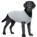 Hjumarayan dog sweater - washable dog sweater large dogs elastic thin dog sweater striped dog shirt elastic dog sweater for medium -sized large dogs (light blue XXL) XXL light blue
