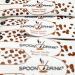 Spoondrink Brauner Kandiszucker Tower - 150 Perfectly Dosed Sugar Sticks for Tea | International Shipping - Buy Online on GoSupps.com