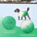 Cit toile Warm Winter Dog Sweater | Soft Knitted Turtleneck Pet Coat for Cold Weather | Color Gradient Green for Small & Medium Pets - XS X-Small - Buy Online on GoSupps.com