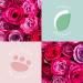 Sunday Rain Rose Polishing Body Scrub - Soothing Rose Oil Infusion, Fresh Petals Scent - 265g | Vegan & Cruelty-Free - Buy Online on GoSupps.com