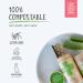 Patch Natural Bamboo Strip Bandages with Aloe Vera - Eco-Friendly Tan 25 Pack for Burns & Blisters - Buy Online on GoSupps.com