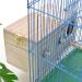 Wooden Parrot Breeding Box for Birds - Budgie, Cockatiel, Parakeet, Lovebirds, Conure, Cockatoo - Nesting Box for Cage - 7.8x4.7x4.7 inch - Buy Online on GoSupps.com