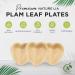 Naturelia Areca Heart-Shaped Kids 6.5-Inch Plates- Eco-Friendly Disposable Biodegradable and Microwave-Palm Leaf Dinnerware for Special Occasions- Natural Plate Ideal for Weddings Parties Events - Buy Online on GoSupps.com