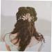 Hair Comb Princess Headband Aesthetic Hair Accessories Hair Styling Accessories Flower Clips Birthday Headpiece Wedding Hair Accessories Hair Clips Decor Headgear Leaf Bride Pearl - Buy Online on GoSupps.com