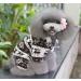 Ranphy Soft Velvet Dog & Cat Hooded Sweater - Reindeer Pattern Jumpsuit for Small Dogs & Puppies - M Size (25cm Back 37cm Chest) - Perfect for Male & Female Pets - Buy Online on GoSupps.com