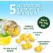Hydration Electrolyte Gummies - Daily Liquid Replenisher Gummy - Electrolyte Multiplier with Minerals Potassium & Real Salt - Vegan Non-GMO - Tasty Lemon Flavor Hydration Electrolytes - 60 Gummies - Buy Online on GoSupps.com