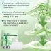 Lot de 14 Moringa Patchs Minceurs 10 en 1 Patch Nano Minceur Moringa 10-EN-1 Patch Maigrir et Raffermissement Cutan Ingr dients Naturels Pour Hommes Et Femmes Pour Touss Types De Corps - Buy Online on GoSupps.com