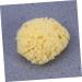 Didiseaon Sponges Bath Sponge Bath Shower Sponge Seaweed Sponge Honeycomb Algae Sponge Baby - Buy Online on GoSupps.com