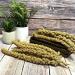 Millet Sprays x 10 Premium Cage Bird Food Seed Natural 10 count (Pack of 1) - Buy Online on GoSupps.com