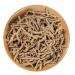 Zercumm Authentic Wild Polygala 500G Super Core-Pulling Polygala