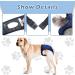 2 Pack Adjustable Dog Diapers for Bitches - Reusable Heat Pants with 16 Hygiene Pads Black & Blue (Large) - Ideal for Menstrual Periods | International Shipping Available - Buy Online on GoSupps.com