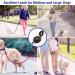Zlesso Dog Lead for Training with strong lead and comfortable soft handle - Buy Online on GoSupps.com