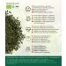 FRISAFRAN | Organic Gunpowder Mint Green Tea in Bulk 200g | Antioxidant | Japanese green tea | Digestive | good health | refreshing drink - Buy Online on GoSupps.com