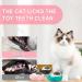 Premium Catnip Balls for Cats - 3pcs Edible Toys with Storage Lids & 360 Rotating Wall Roller - Buy Online on GoSupps.com