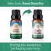 GuruNanda Eucalyptus Essential Oil - 100% Pure Aromatherapy Oil for Diffusers & Massages - Congestion Relief (0.5 Fl Oz - Buy Online on GoSupps.com