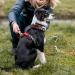 Nobby Inspling - Premium Quality Pet Supplies | Fast International Shipping - Buy Online on GoSupps.com