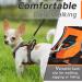 Eagloo Adjustable Dog Harness for Small Dogs - Durable Anti-Train Reflective Vest for Walking & Jogging - XS Orange (1 Pack) - Buy Online on GoSupps.com