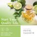 PHATOIL Bergamot Essential Oil 10ML - Undiluted and Cruelty-Free Pure Bergamot Oil - Essential Oils for Diffusers for Home Bergamot 10.00 ml (Pack of 1) - Buy Online on GoSupps.com